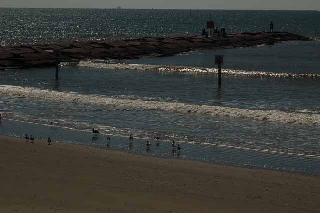 the Gulf of Mexico at Galveston